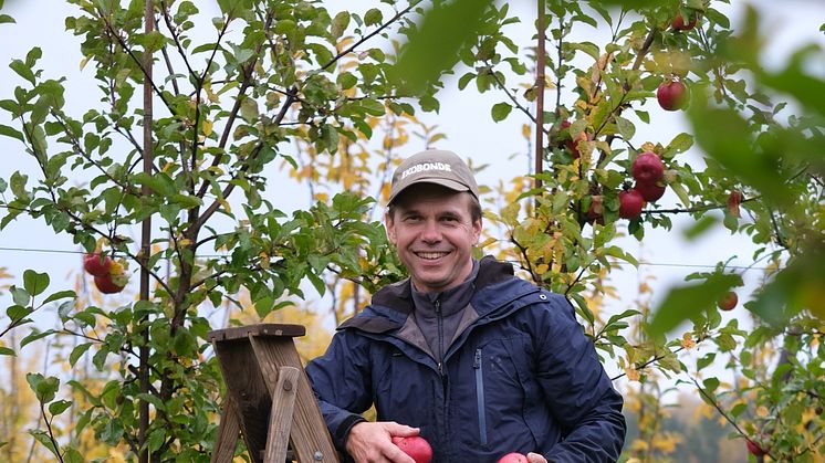 Han vågade starta en ekologisk fruktodling