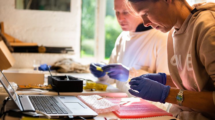 Nordiska bin – en unik resurs för framtidens ekosystemtjänster, är ett av de forskningsprojekt som presenteras under årets ForskarFredag. 