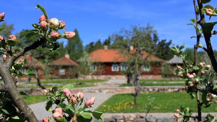 På Stabergs bergsmansgård finns från och med lördag särskilda slingor för barn att följa. Foto: Lars-Gunnar Svärd