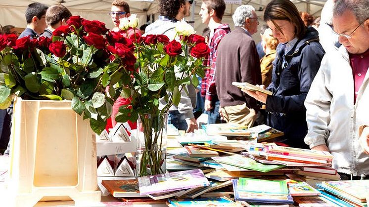 Sant Jordi: A Book and a Rose