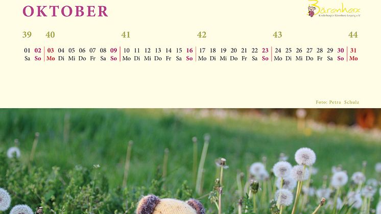 Bärenherz-Kalender für 2016 verfügbar