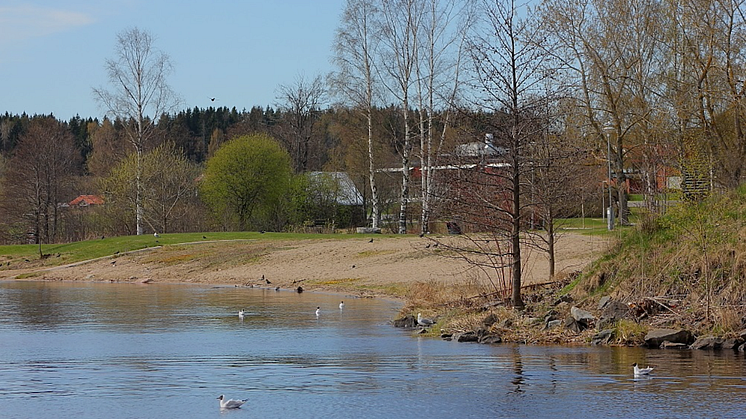Nu görs ett nytt försök att utveckla Loppholmen med en badsplats. Foto: Hans Boström (lindebilder.se)