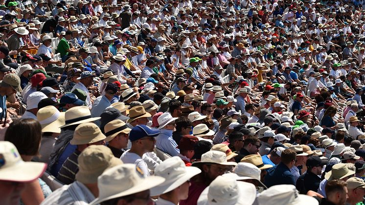 Spectators watch the  first Test between England and Ireland at Lord's (Getty)