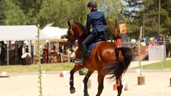 Äntligen är det dags för hästarna att göra debut under SM-veckan i Linköping genom den populära grenen Working Equitation! Foto: Kajsa Ekedahl