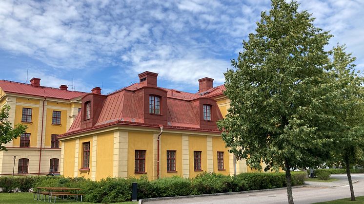 Callunas nya kontor i Uppsala erbjuder, liksom företaget i stort, en rad miljökonsulttjänster med fokus på biologisk mångfald och miljöövervakning. Foto: Tove Adelsköld.