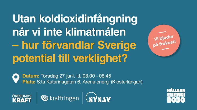 Utan koldioxidinfångning når vi inte klimatmålen – hur förvandlar Sverige potential till verklighet?