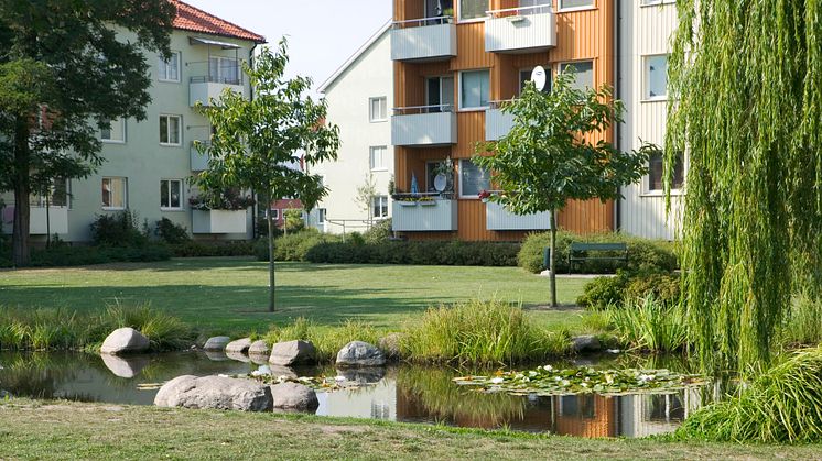 Ekostaden Augustenborg vill bli bäst på biologisk mångfald