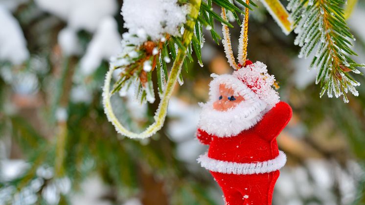 Presseinvitasjon: Vi ringer julen inn med julegrantenning og julestemning på Mortensnes studentboliger i Tromsø