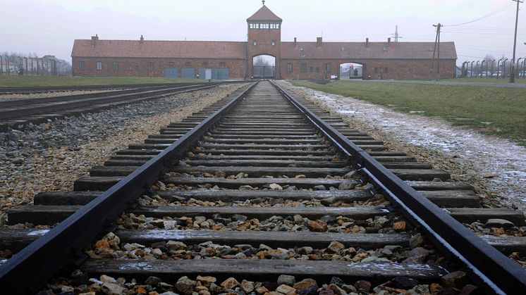  AUSCHWITZ: THE NAZIS AND THE FINAL SOLUTION_The HISTORY Channel