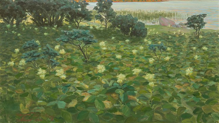 Hanna Rönnberg, Åland, 1900, olja på duk. Önningebymuseet.