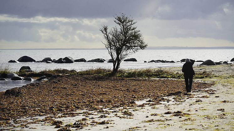 Stranden i Åhus november 2023