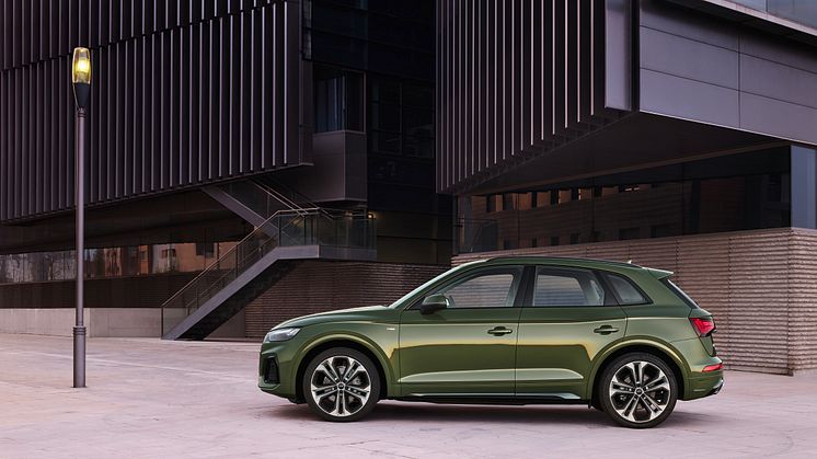 Audi Q5 2020 (Distriktgrøn)