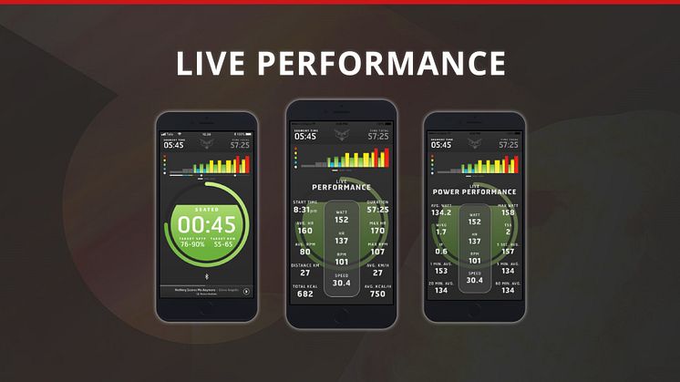 Performance-driven? Your data is at your fingertips!