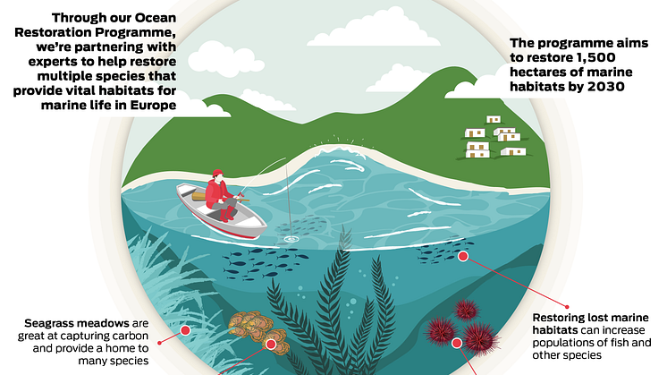 ocean-restoration_infographic