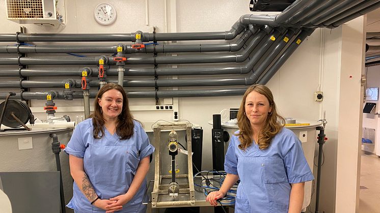 Ragnhild Pettersen (Akvaplan-niva) and Lise-Merete Vågø (VESO Aqualab). (Photo: VESO Aqualab).