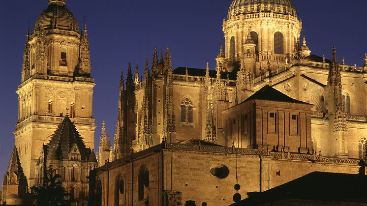Salamanca at night