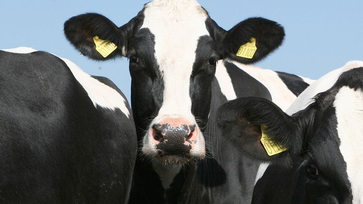 Arla Foods amba to increase its April milk price