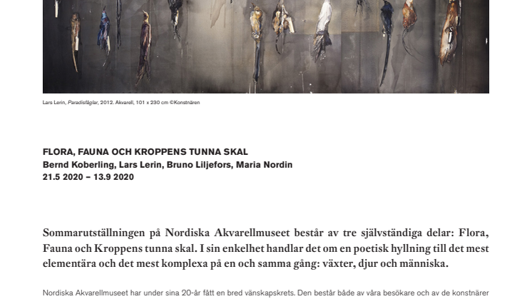 Sommarens utställning på Nordiska Akvarellmuseet: Flora, Fauna och Kroppens tunna skal 