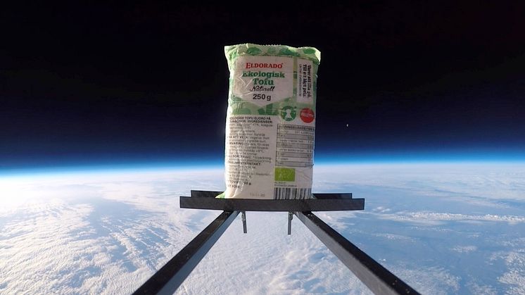 Eldorado skickar upp världens första ekologiska tofu i rymden