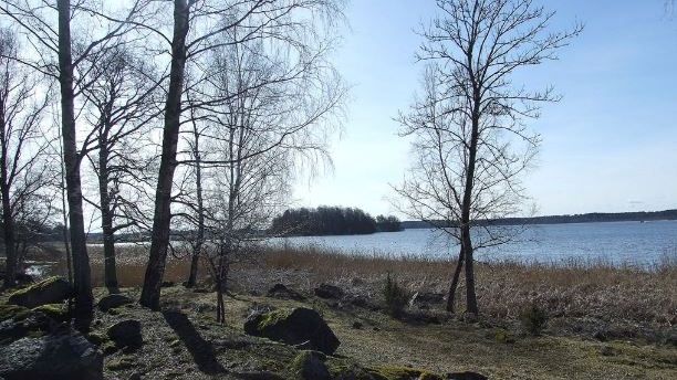 Sveriges största skogsfastighet blir din för 150 miljoner kronor