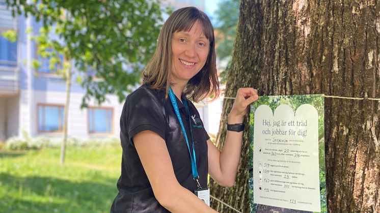 Poseidons utemiljöcontroller Ivana Trogrlic märker en skogsalm på Elins gård 4 med en så kallad tree-tag som visar vilken nytta trädet gör.