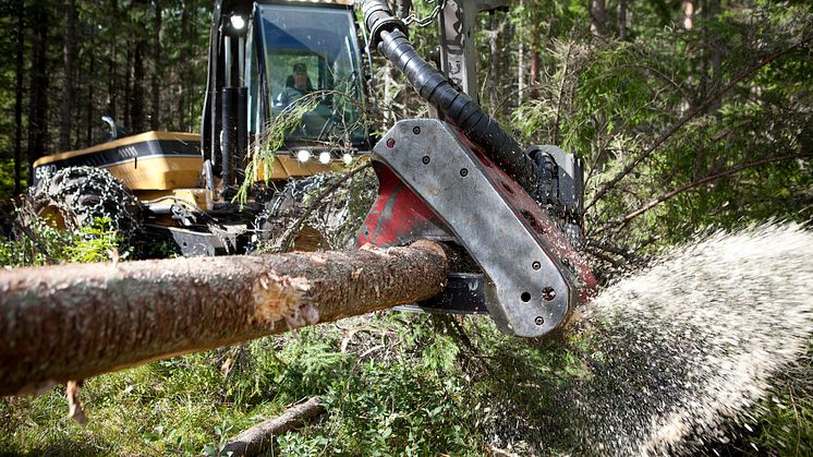 Skatte- och ekonomikvällar för skogsägare i Rättvik och Leksand