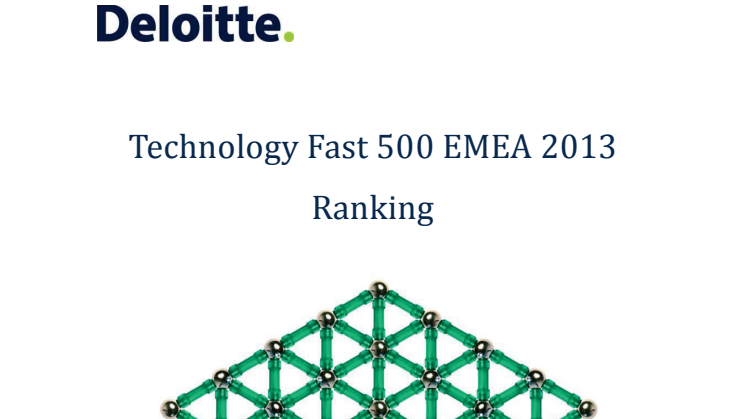 Technology Fast 500 EMEA 2013 Ranking