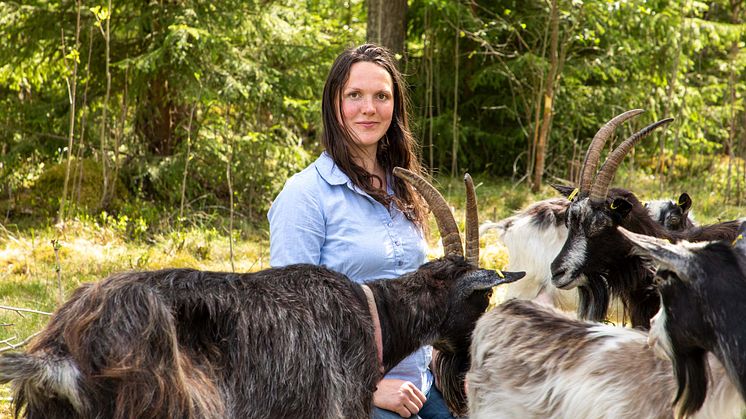 Lina Englund mottar ett stipendium på 100 000kr från Dalakraft för att utveckla sin verksamhet i Born utanför Rättvik.