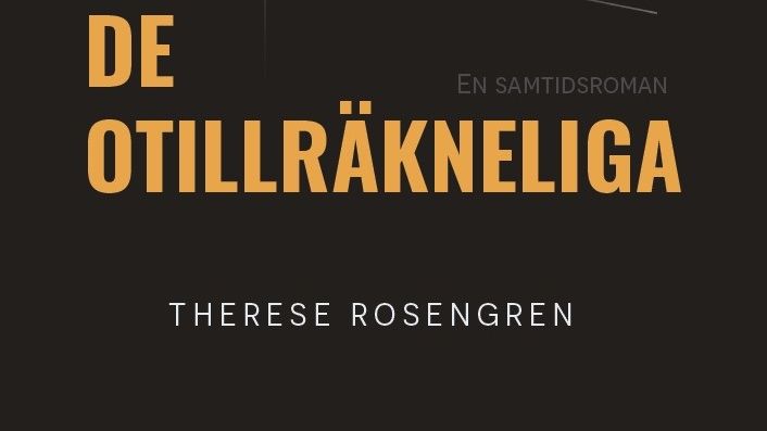 Författaren Therese Rosengren belyser utmaningar i skolmijön