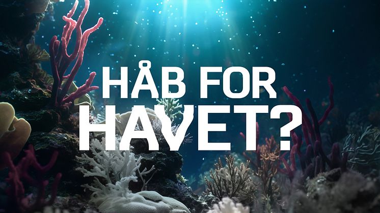 Klimadebat: Håb for havet?