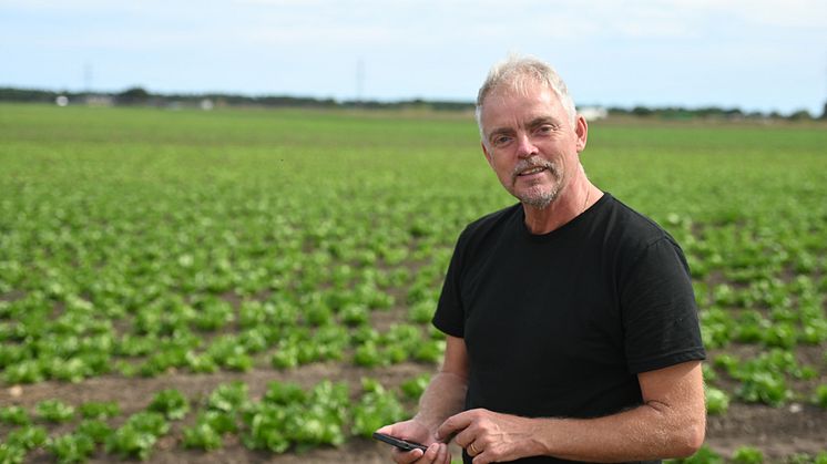 Åhus Grönt kopplar upp salladen med fiber