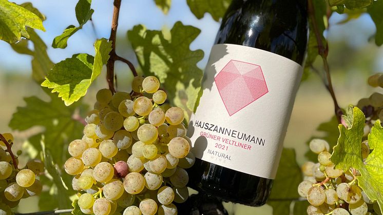 Hajzan Neumann Grüner Veltliner 2021