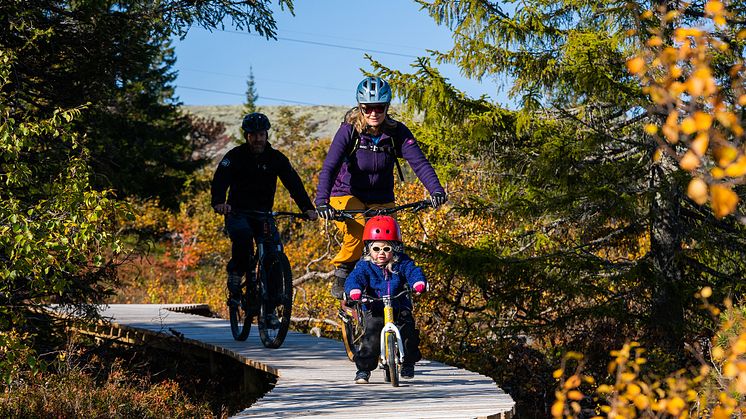 Mange vil på en aktiv høstferie, og i Trysil er det sykling som gjelder. Foto: Jonas Sjögren/Destinasjon Trysil