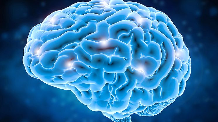 Forskare vid Linköpings universitet undersöker hur Parkinsons sjukdom kan spridas i hjärnan. Foto: iStock