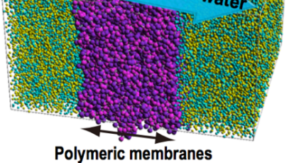 Polymeric membranes