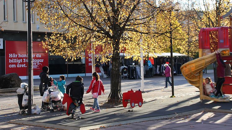 Utblick mot framtidens landsbygd, för- och eftermiddagsseminarium den 24 november