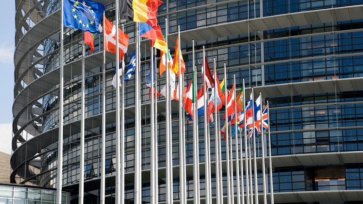 Europarliament. Flags of the countries of the European Union at an input in Europarliament