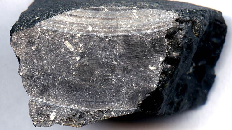 Meteorit från Mars