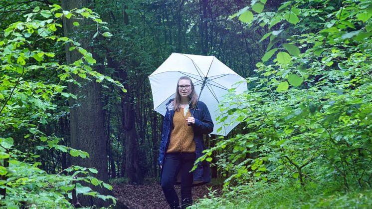 Nina i bokskogen