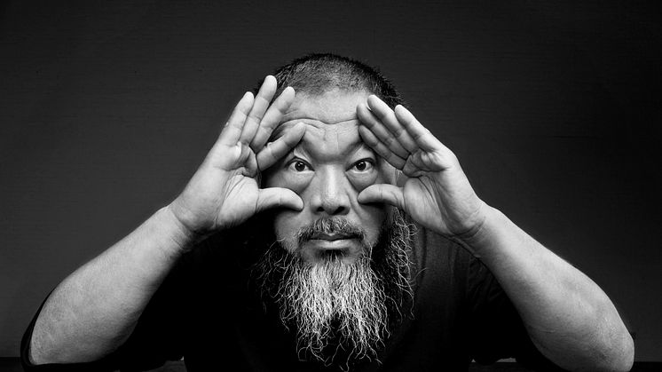 Ai Weiwei ROOTS Ai Weiwei Courtesy the artist and Lisson Gallery Photographer Gao Yuan jpg