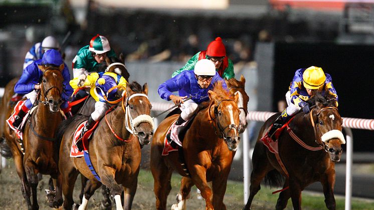 Mångmiljonloppet Dubai World Cup direkt i ATG Live