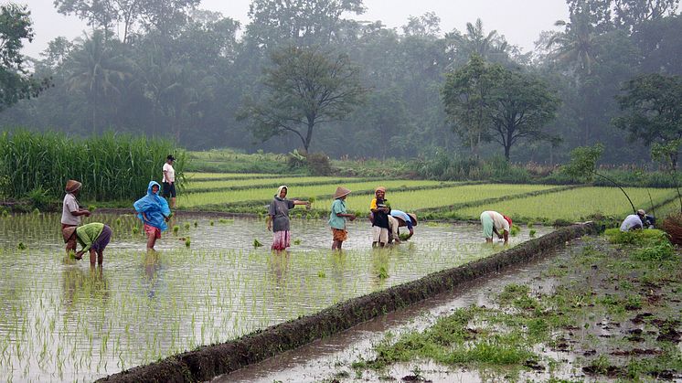 Naturkatastrophen in Bangladesch: Warum ist das Leben am Golf von Bengalen so gefährlich?