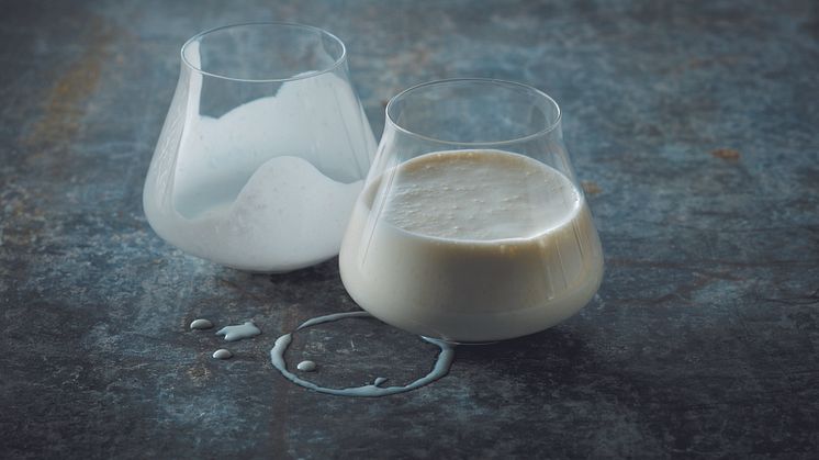 Fermenteringstrenden fortsætter: Arlas salg af kefir vækster eksplosivt