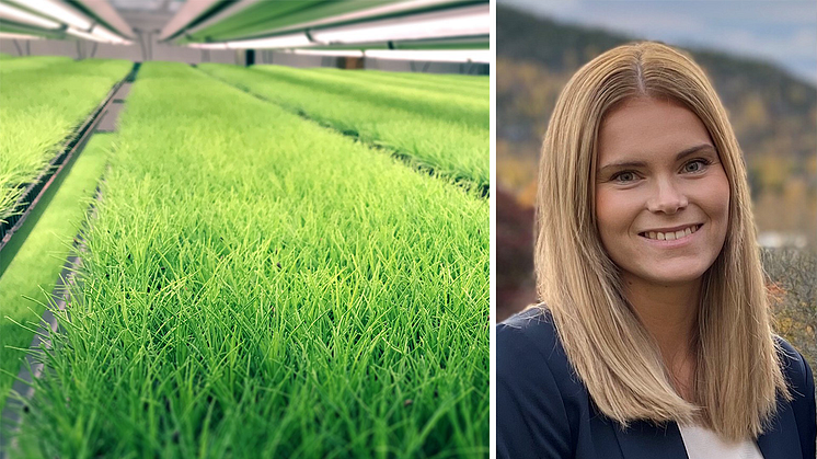 Johanna Johansson, vd för Plantvation