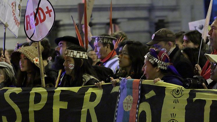 Mapuche-folk demonstrerer imod at handle med deres skov som en del af klimaløsningen.