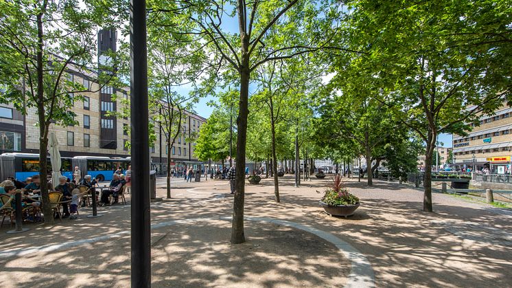 Den 5 augusti startar upprustningen av Brunnsparken. Foto: Peter Svensson