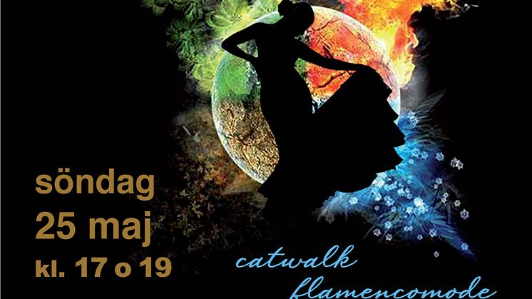 Flamenco-konsert "Los cuatro elementos" i Lund