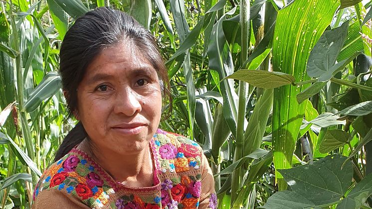 Doña Reyna har fått starthjelp av AMMID til å kjøpe husdyr og fått agronomisk opplæring. AMMID er en forkortelse som kan oversettes til «Sammenslutningen av Maya-Mam for fremme av utvikling». Foto: Cesilie Aurbakken.