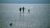 Världsnaturarvet "Wattenmeer"