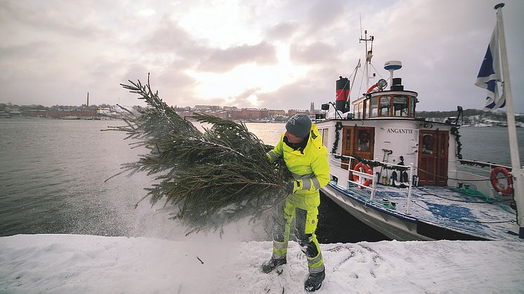 Hjälp till att göra Mälaren risigare!